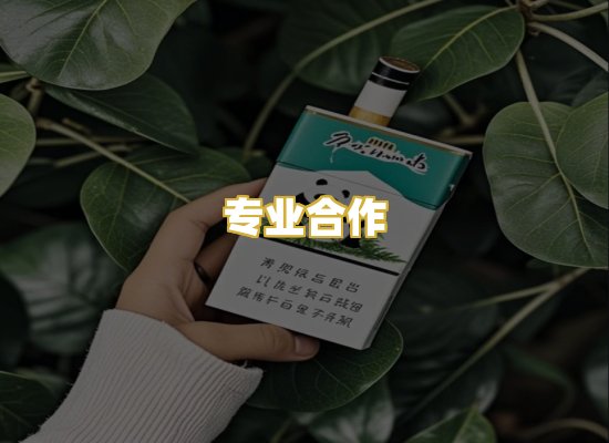 专业合作